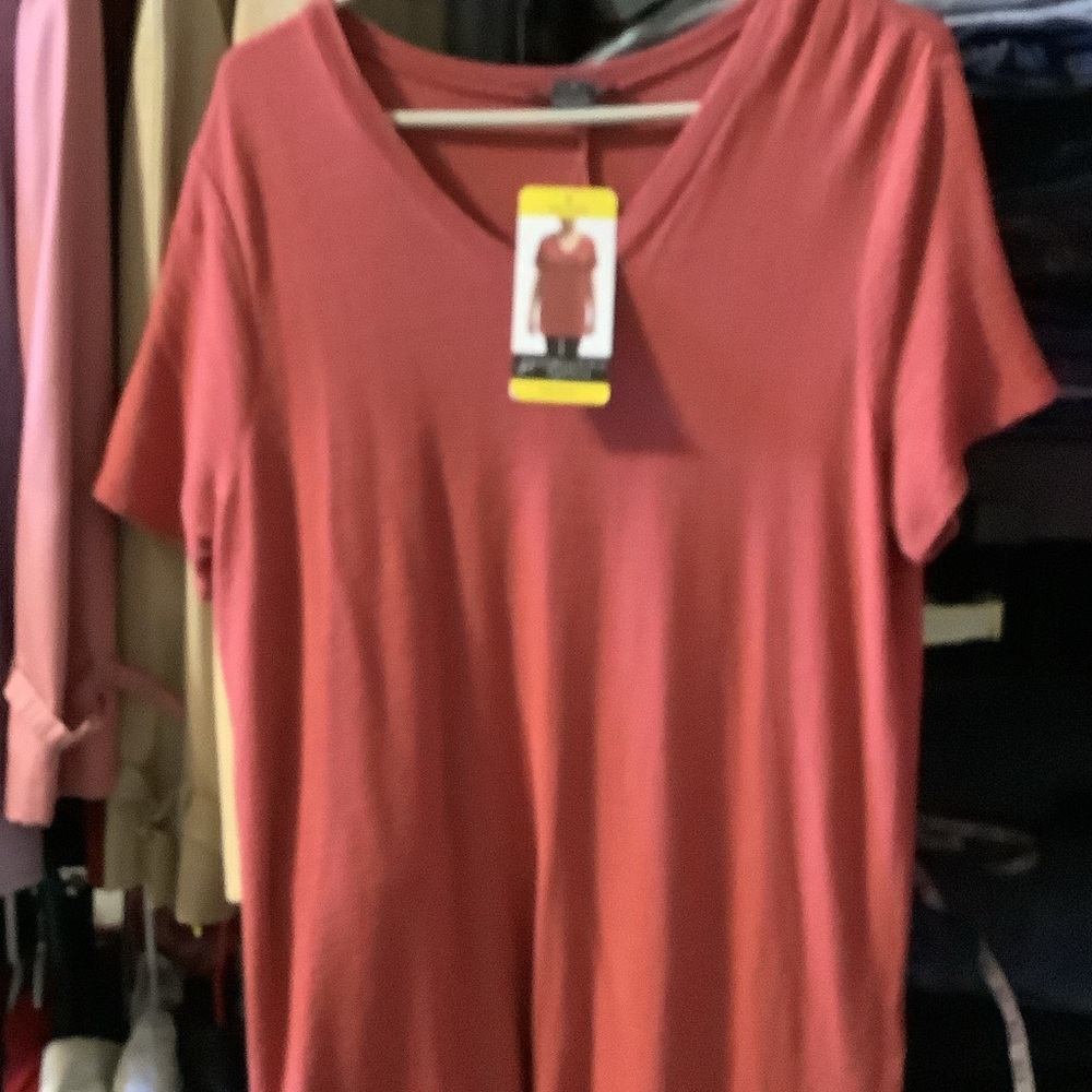 Adrianna Papell V-Neck Short Sleeve Top - Rust Red